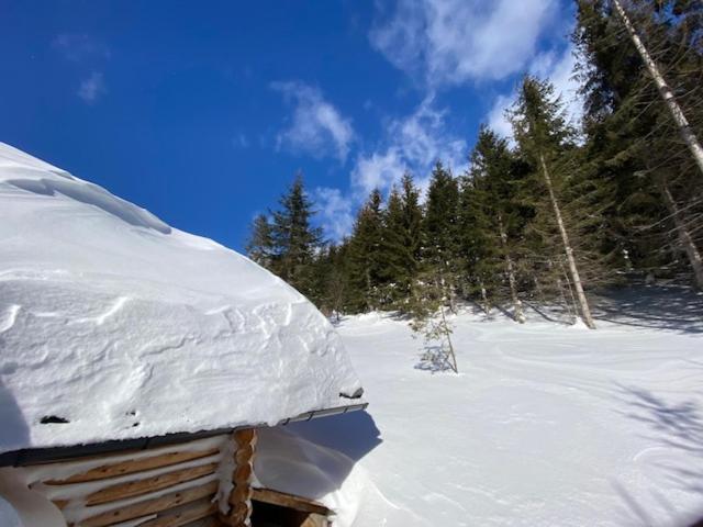 Alpenchalet Grabner Alm Am Praebichl Villa Almhauser Exterior foto